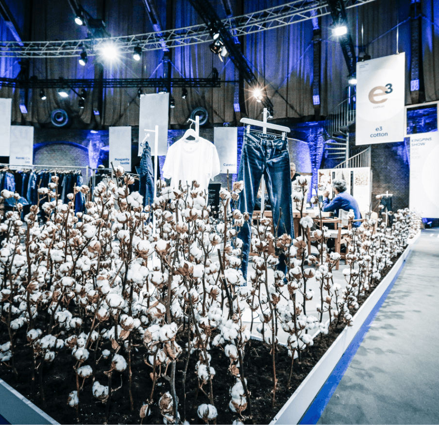 kingpins_account_header