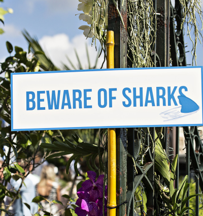 AK8A7277 Moet Party day 2017 photo by JH