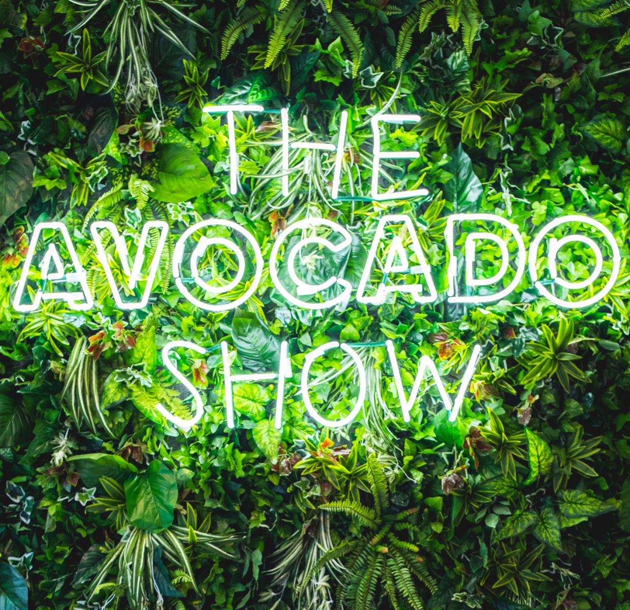 advocado_show_toolkit_logo