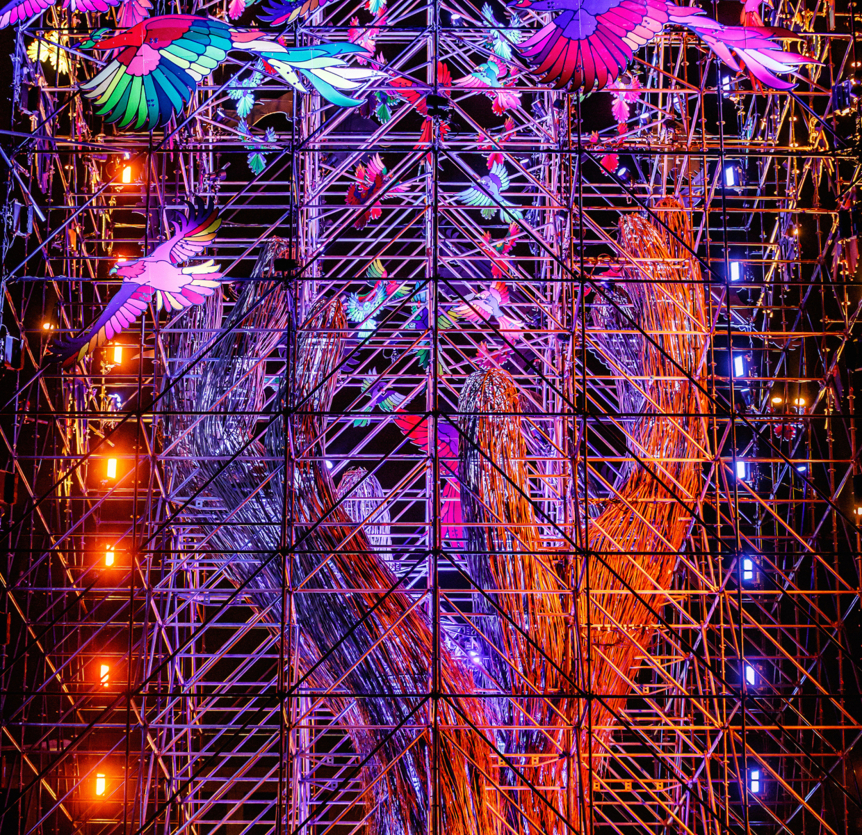 APF_TreeOfHope_BartHeemskerk_Header