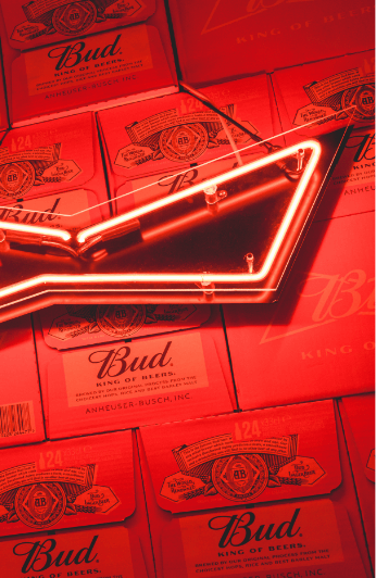 Budweiser_beer_tookit_BUDX_Amsterdam_Horecava_RAI_intro